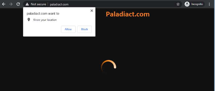 Paladiact.com