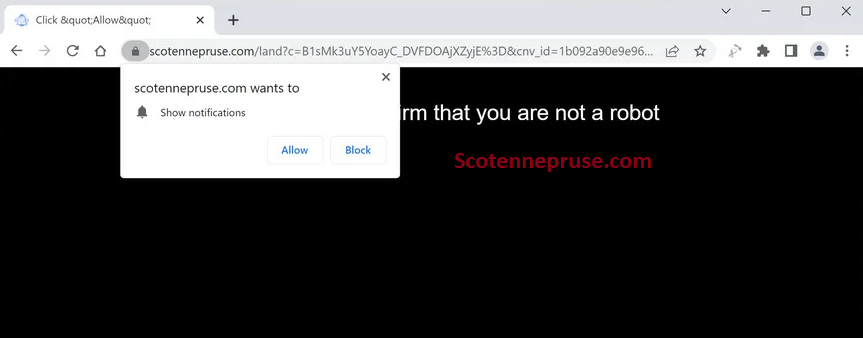 Scotennepruse.com