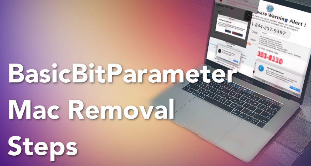 BasicBitParameter