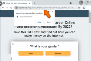 Expensivesurvey.online