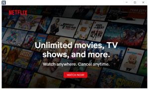 NetflixHub